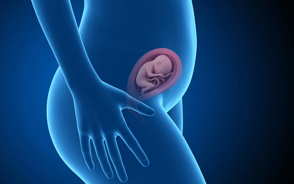 Kohdun asento voi vaikuttaa mm. raskausvatsan kokoon. Taaksepäin kallistunut kohtu voi aiheuttaa sen, että raskausvatsa jää pienemmäksi.