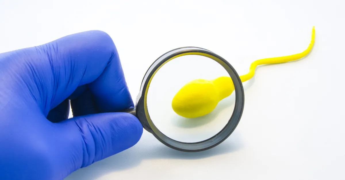 miehen hedelmällisyys