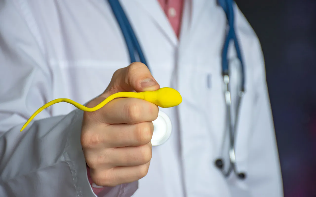 Sperma eli siemenneste koostuu paljon muustakin kuin siittiöistä.